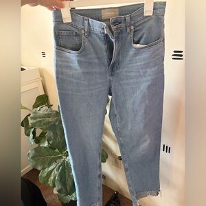 Everlane Classic Blue Straight Jeans